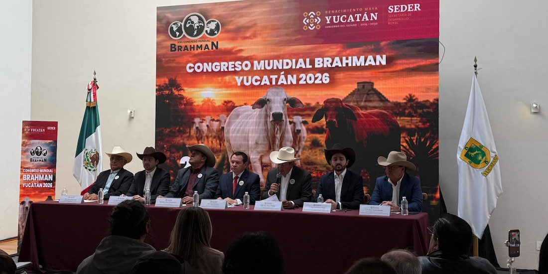 Joaquín Díaz Mena anunció en la CDMX que Mérida será sede del Congreso Mundial de Brahman 2026.