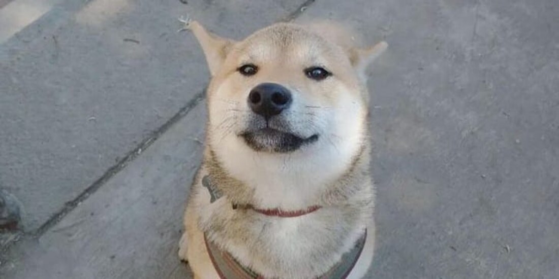 La 'Ley Maple' fue aprobada en la CDMX.