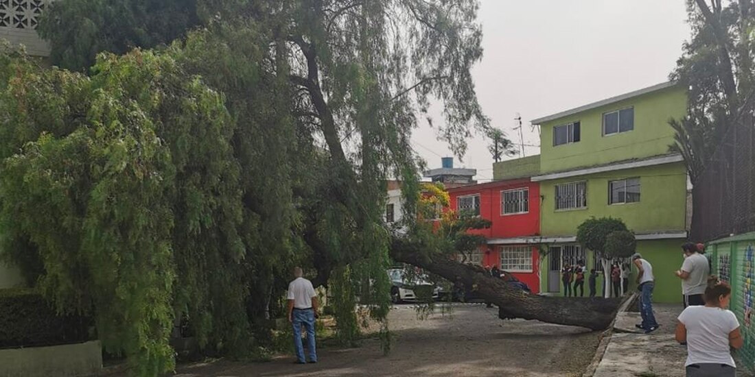 fuertes vientos registrados la tarde de este domingo en la CDMX generaron varias afectaciones en al menos seis alcaldías.