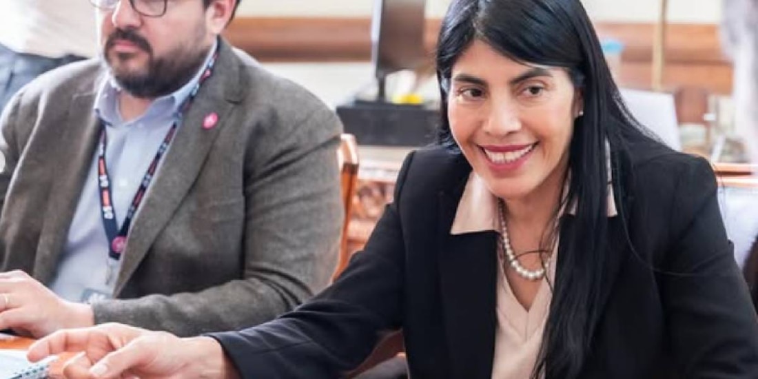 La ministra sufrió una agresión durante una visita académica