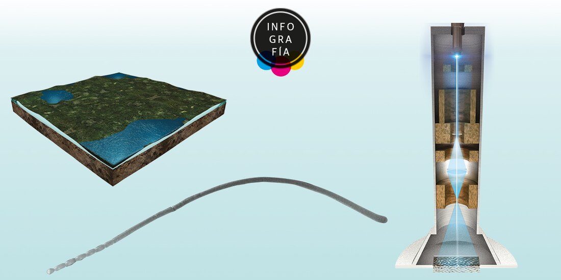 Descubren en manglar a la bacteria más larga del mundo, llega a medir hasta un centímetro