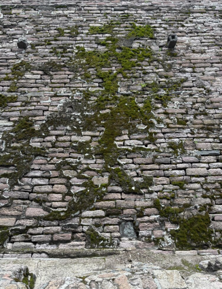 Algunas partes de la pirámide tienen musgo