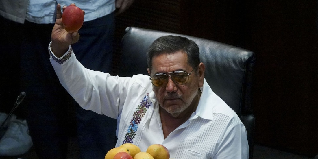 El senador morenista Félix Salgado Macedonio