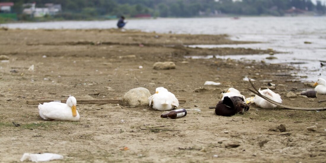El fenómeno afecta a más de la mitad de los municipios de Nuevo León. La presa de Cerro Prieto se encuentra a 17.03 por ciento de su capacidad y es la de mayor impacto.