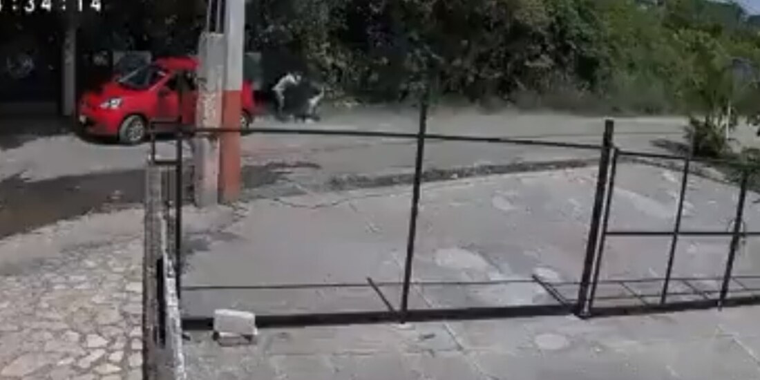 Una joven se salvó de ser secuestrada en Cuernavaca, Morelos, luego de que comenzó a gritar por ayuda y los perros alertaron a sus familiares.