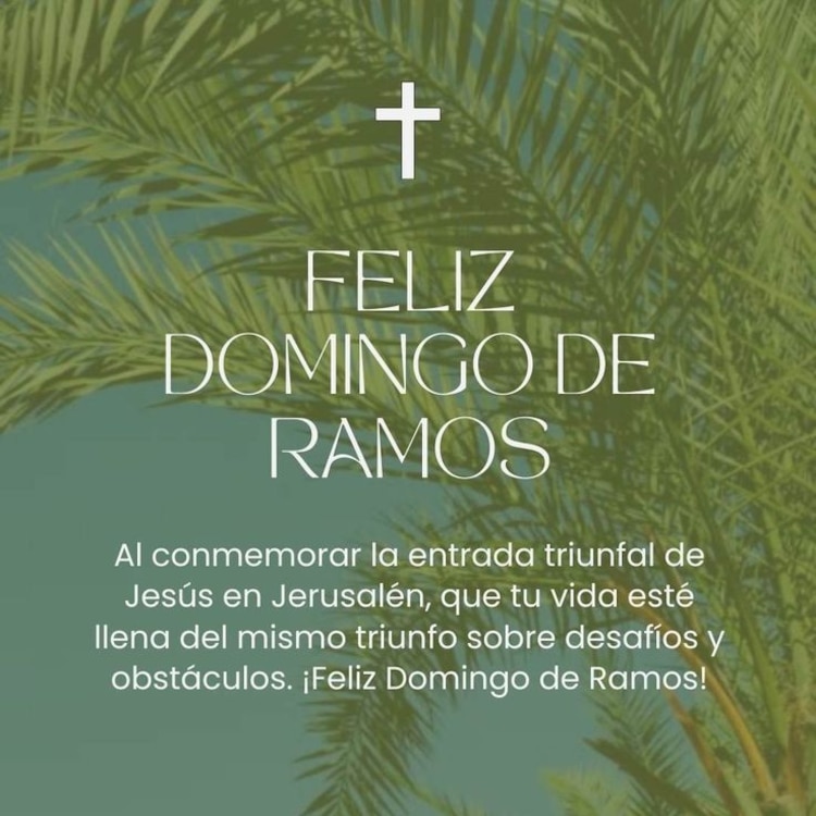 Imágenes para desear feliz Domingo de Ramos