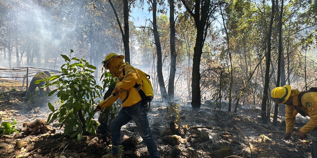 Brigadista combate un incendio en Ocuilán, ayer.