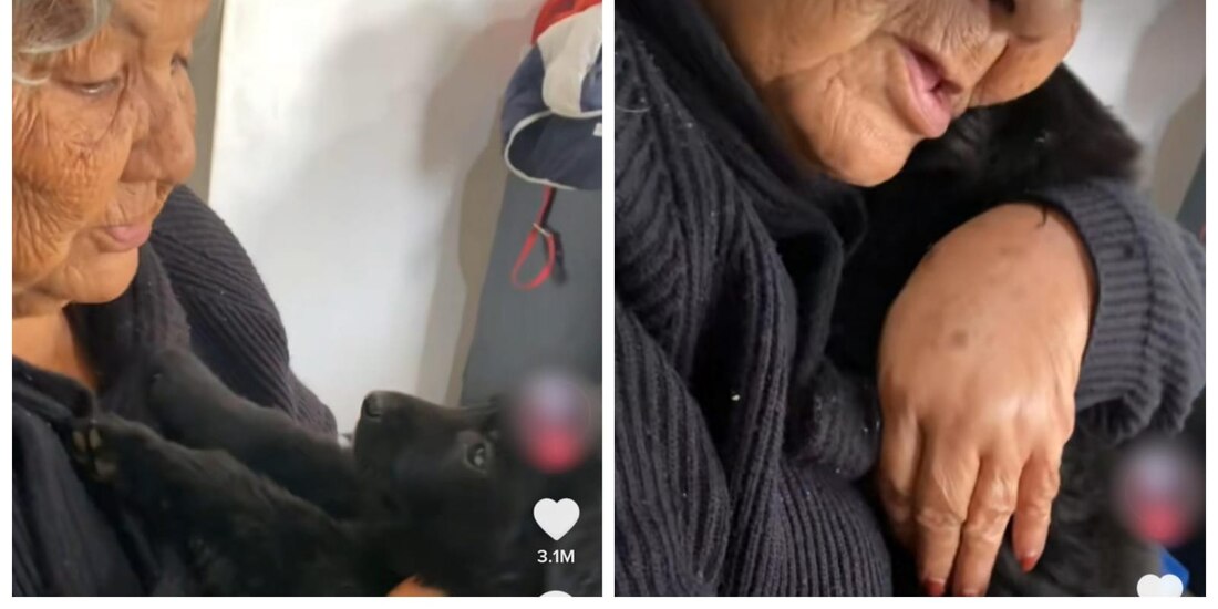 "Tienes que que portarte bien, Pancho", dice la abuelita al cachorrito de color negro que carga entre sus manos.