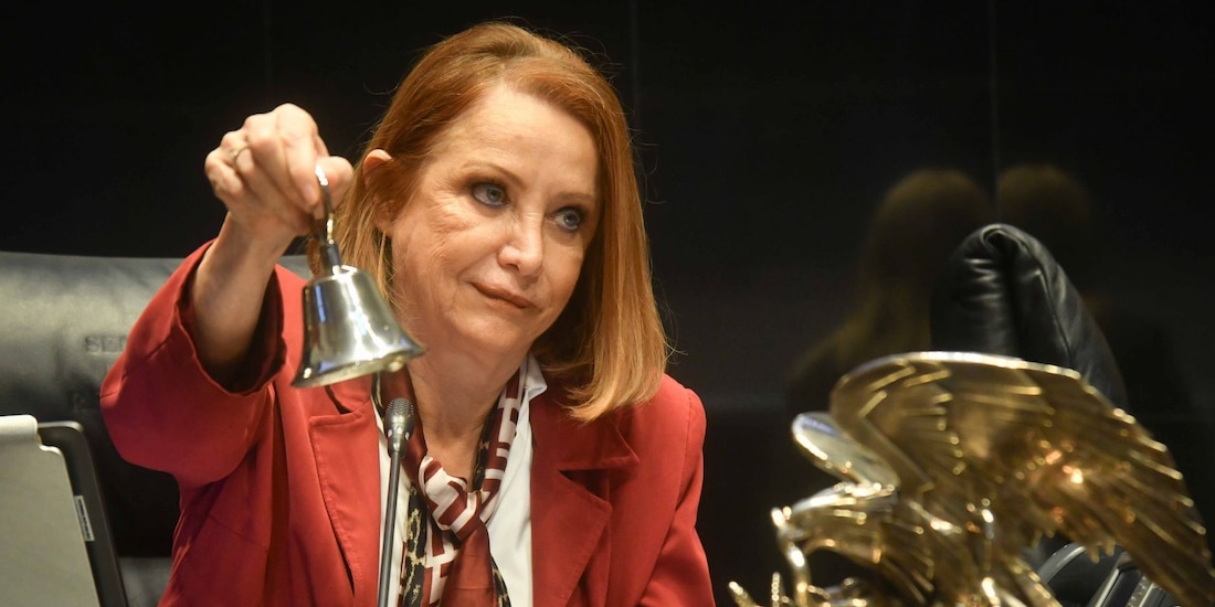 Laura Itzel Castillo Juárez, presidenta de la mesa directiva del Senado de la República.
