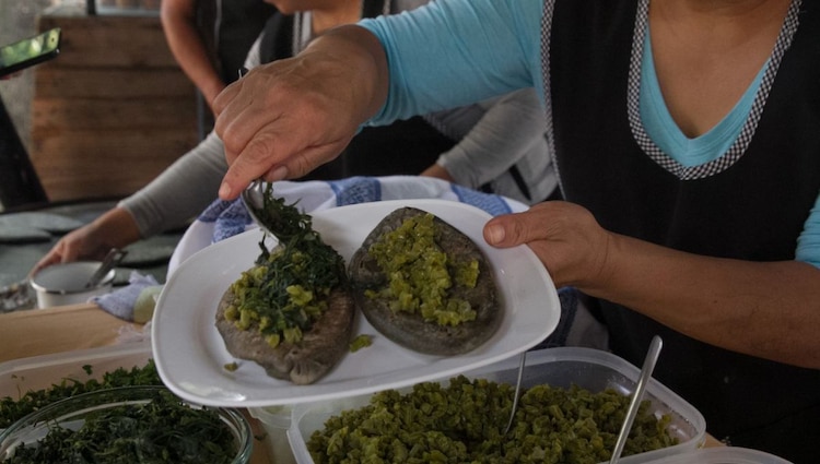 La explanada de la alcaldía se transformará en el epicentro festivo del norte de la capital a partir de las seis de la tarde.