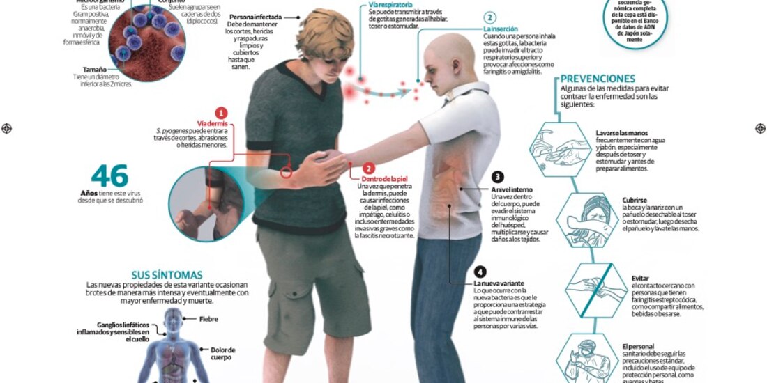 Streptococcus pyogenes