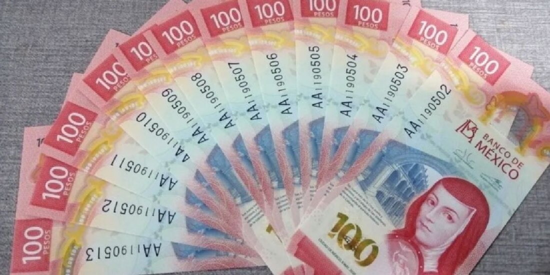 Ganan más que AMLO 2 servidoras cercanas a 4T