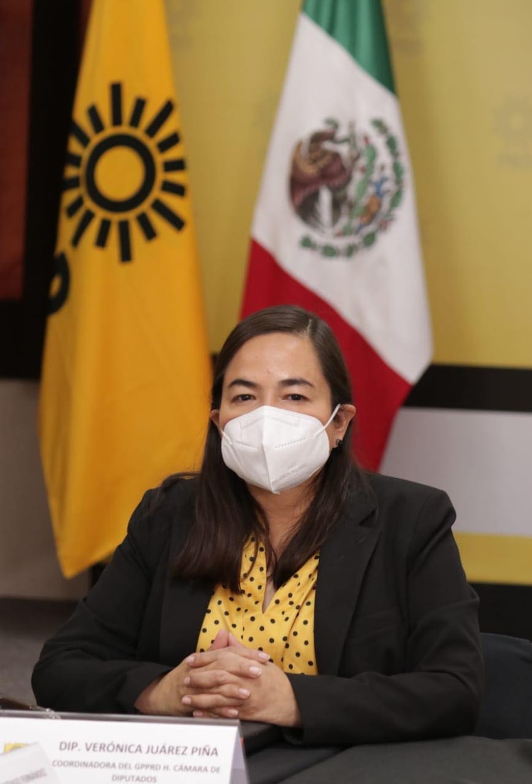 Verónica Juárez Piña