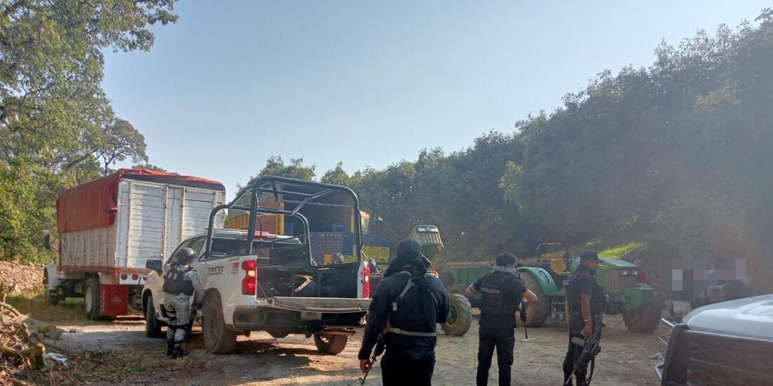 Los detenidos transportaban el cargamento en seis vehículos, también asegurados por las autoridades.