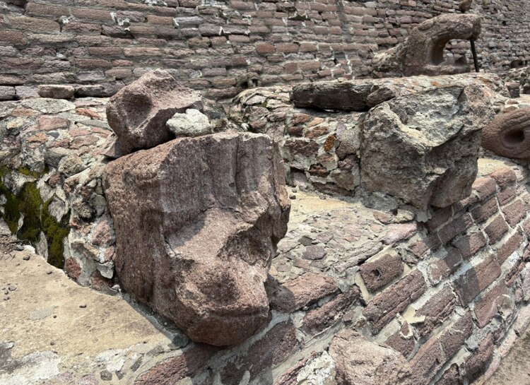 Serpientes con piezas faltantes o con soportes