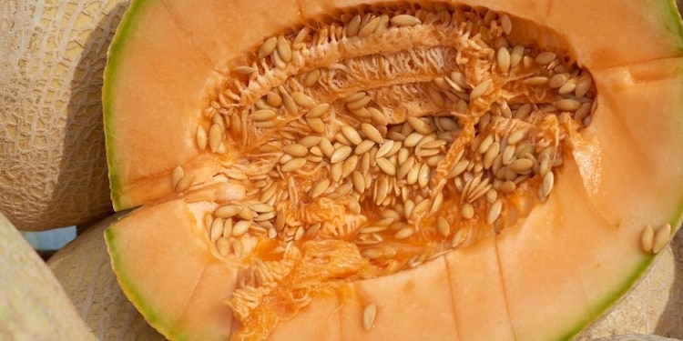 La fruta cortada podría contener bacterias que provoquen listeriosis o salmonelosis,