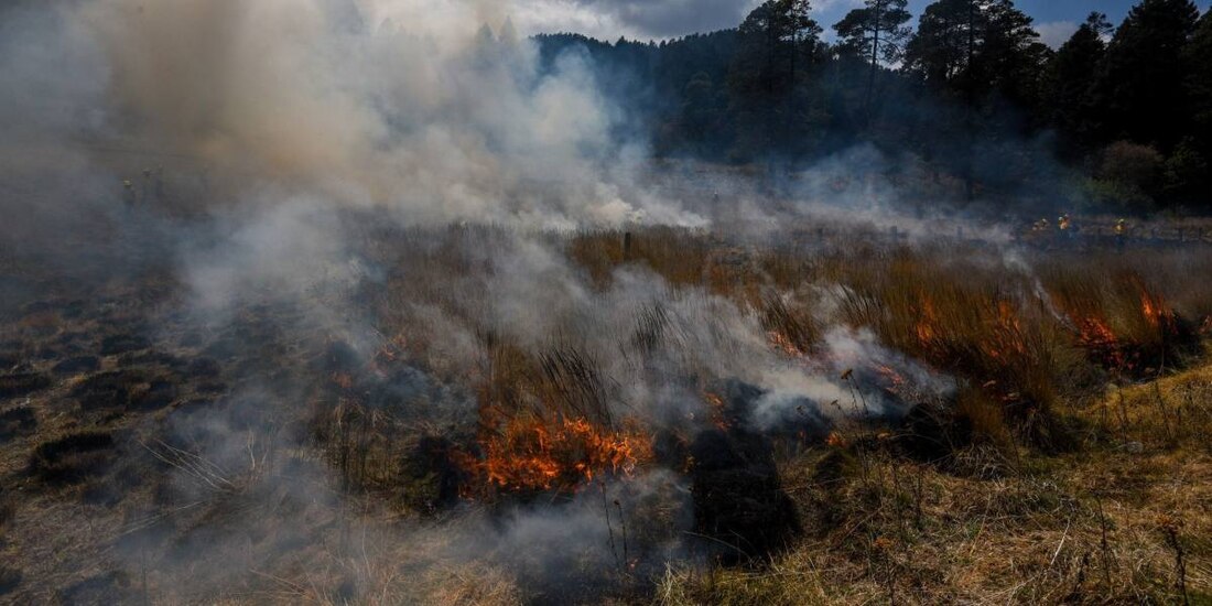 Permanecen activos 32 incendios forestales.