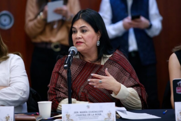La senadora Guadalupe Chavira, en sesión de comisiones en foto de archivo.