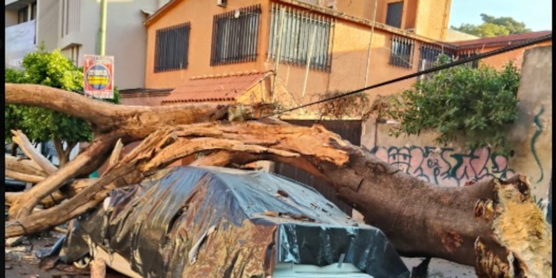 El siniestro se registró este viernes.
