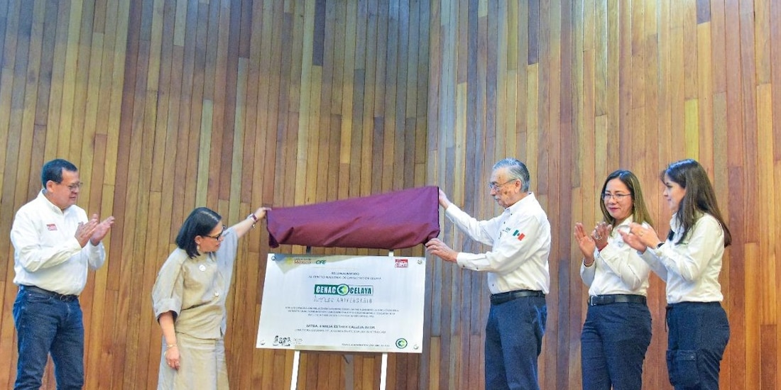 Personal de la Comisión Federal de Electricidad.