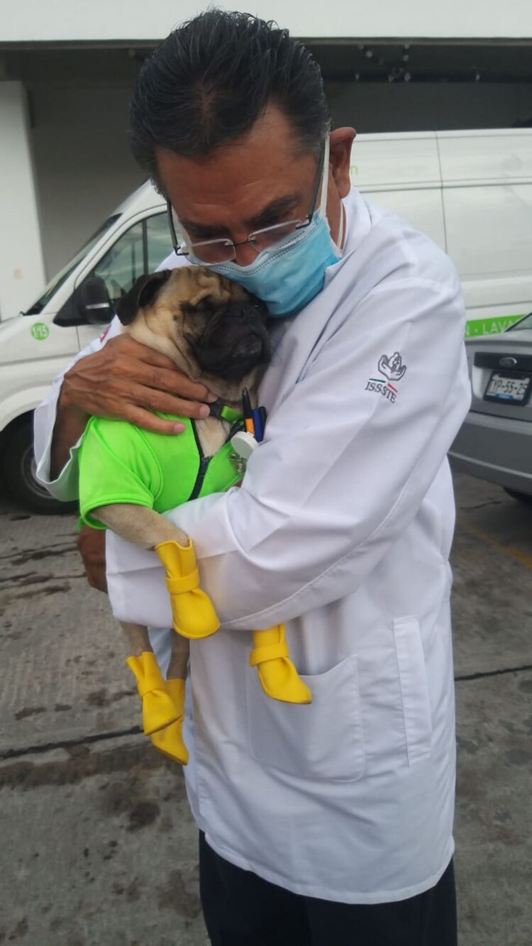 Perrito Harley visita al personal médico del ISSSTE