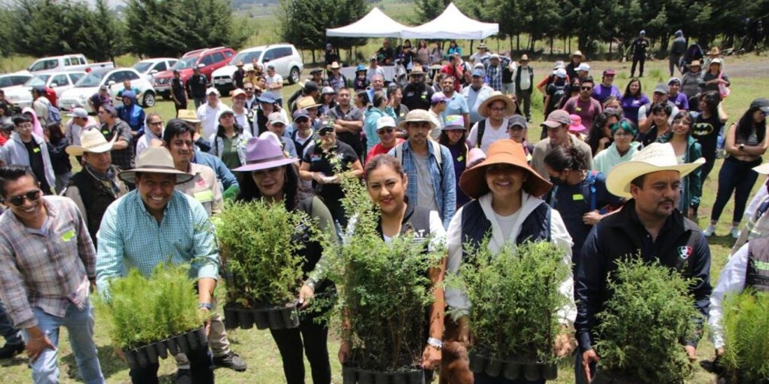 La meta es plantar cinco mil pinos dentro de los polígonos de núcleos agrarios y dar mantenimiento a 27 mil 15 árboles árboles