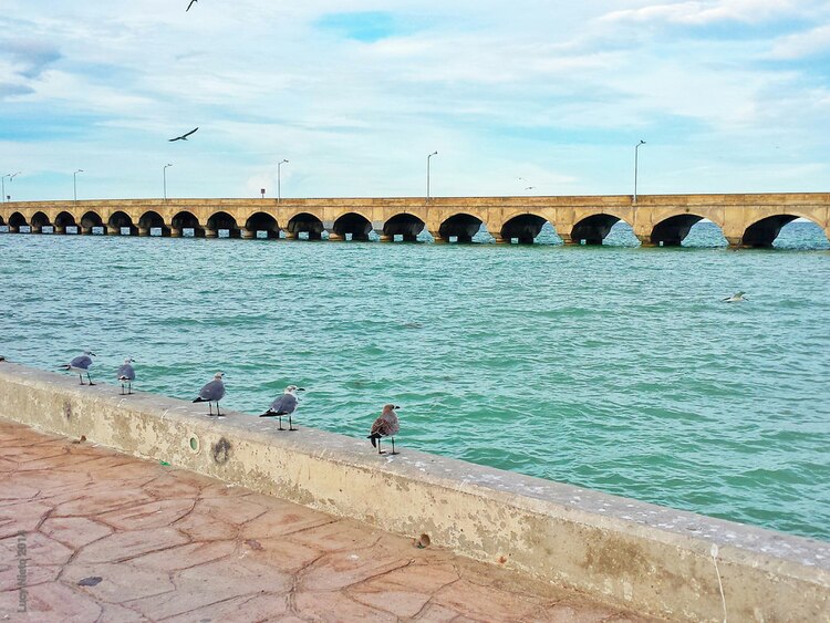 Puerto Progreso es un destino codiciado por turistas nacionales y extranjeros.