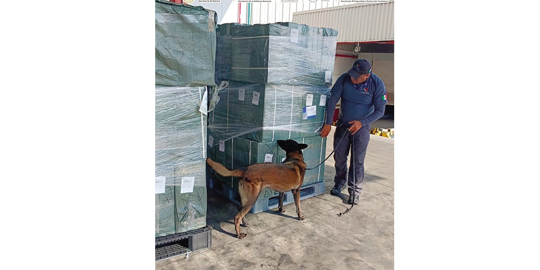 Un elemento de seguridad ayudado por un perro K9, en el AICM.