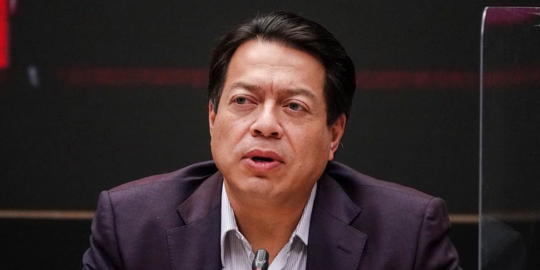 Dirigente nacional de Morena, Mario Delgado