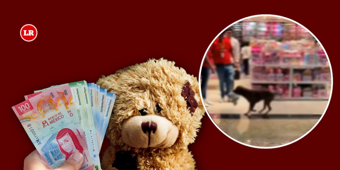 Perrito ‘roba’ un peluche de una tienda y la gente se une para comprárselo | VIDEO