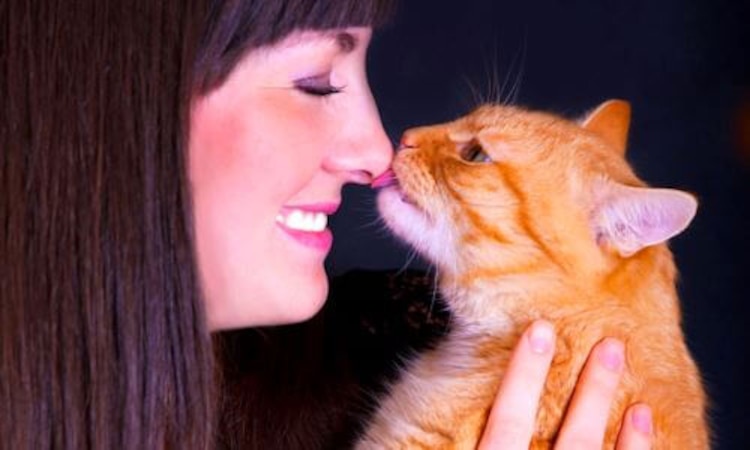 Gato lame a su dueña