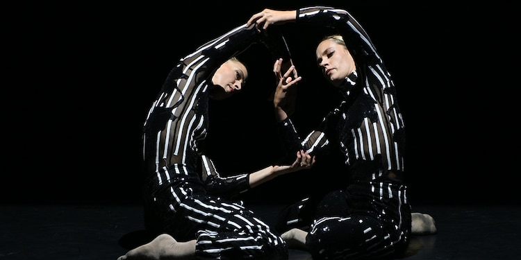 HANNAH EKHOLM y Faye Stoeser impresionaron con Splice.