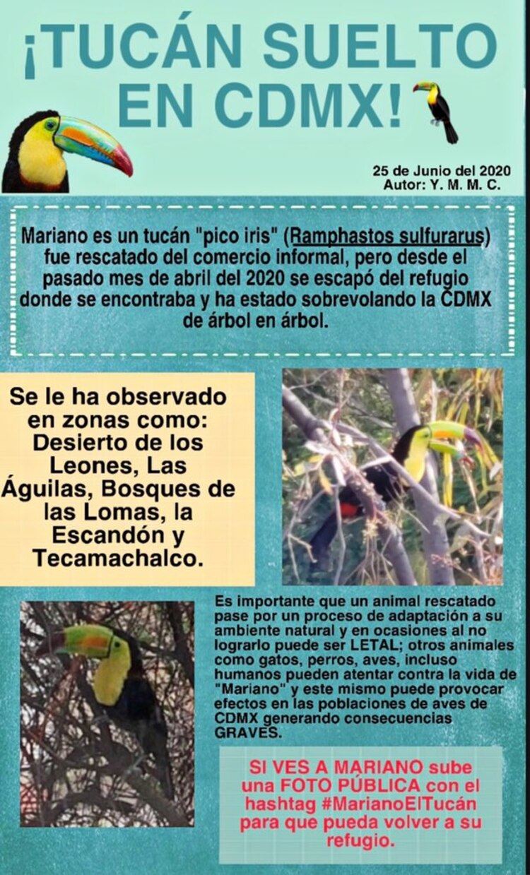 Piden ayuda para que Mariano vuelva al refugio