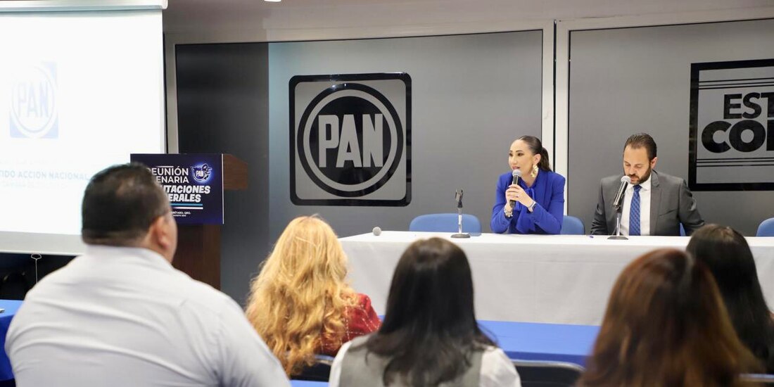 Noemí Luna, diputada