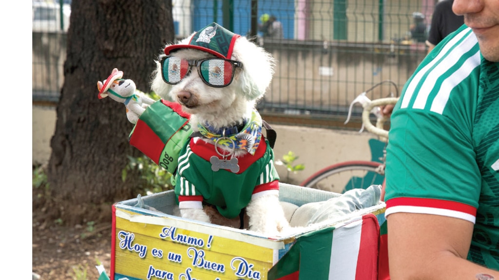 OTRA MASCOTA QUE ENAMORA EN LA CDMX