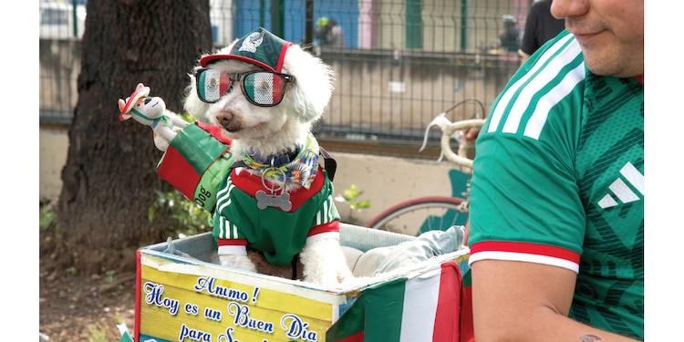 OTRA MASCOTA QUE ENAMORA EN LA CDMX
