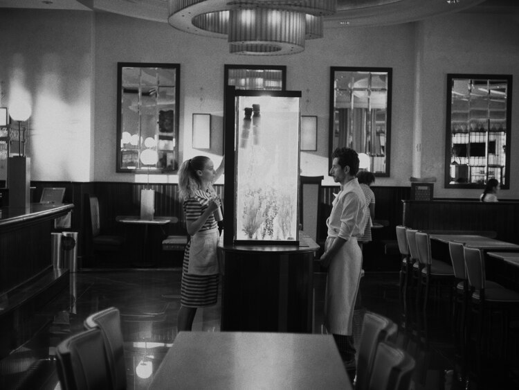 Algunas escenas del filme México-estadounidense.