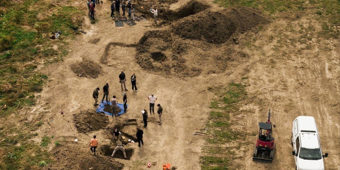 Investigan refugio de California tras hallar 117 perros muertos