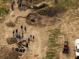 Investigan refugio de California tras hallar 117 perros muertos