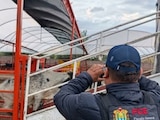Roban 35 vacas en Veracruz y aparecen en el Edomex