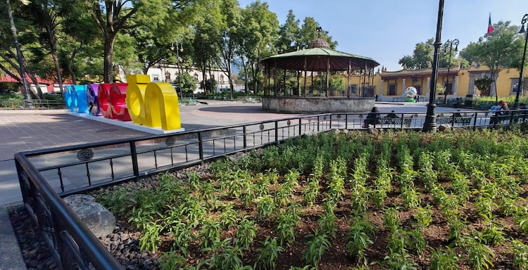 Con más de 34 mil nuevas especies arbustivas, los jardines Hidalgo y Centenario recuperan su valor ambiental y patrimonial.