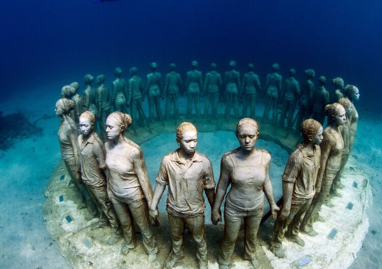 Buzos en el museo y tacos de marlín por kilo