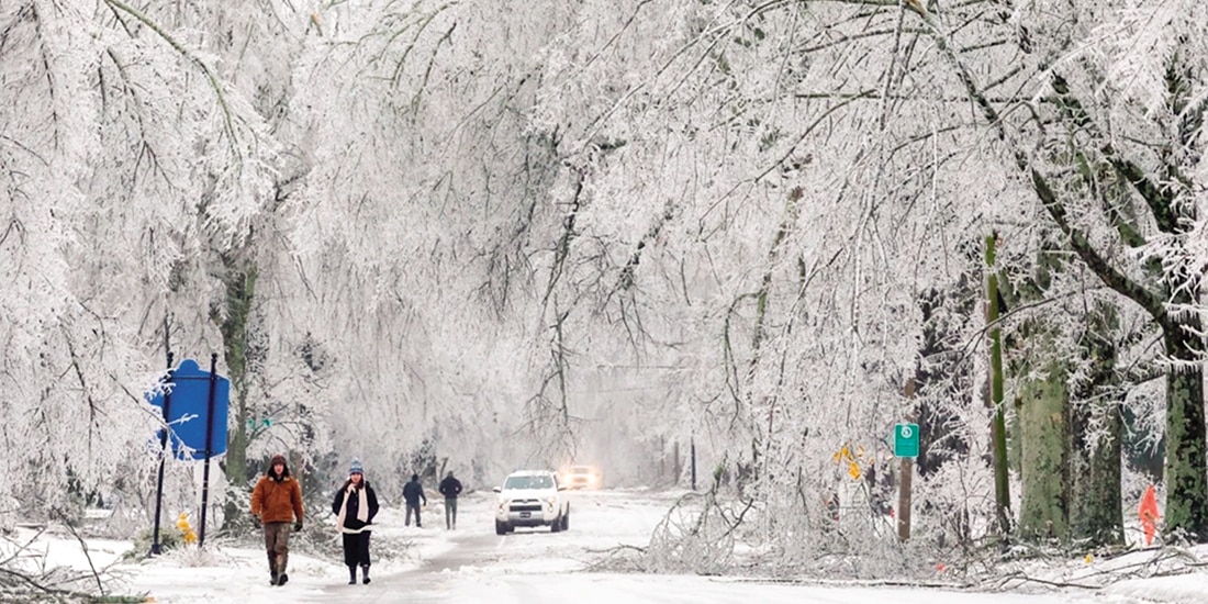 Se observa nieve y hielo cubriendo árboles y calles durante el paso de una tormenta invernal, el pasado 25 de enero, en Oxford, Mississippi.