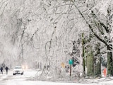 Se observa nieve y hielo cubriendo árboles y calles durante el paso de una tormenta invernal, el pasado 25 de enero, en Oxford, Mississippi.