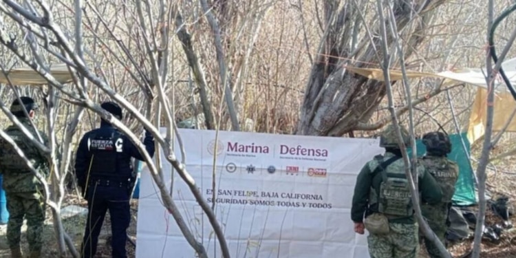 Aseguran 100 litros de mentafetamina