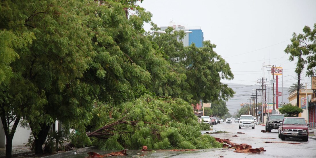 El paso de "Olaf" por Baja California Sur provocó apagones de luz eléctrica en la entidad