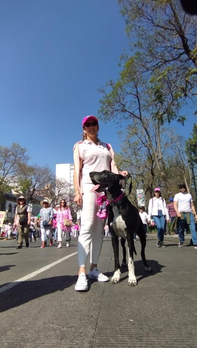 Perritos ladran "en defensa" del INE