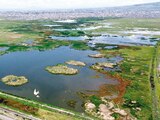 Aspectos del Parque Ecológico Lago de Texcoco, en imagen del 1 de agosto de 2024.