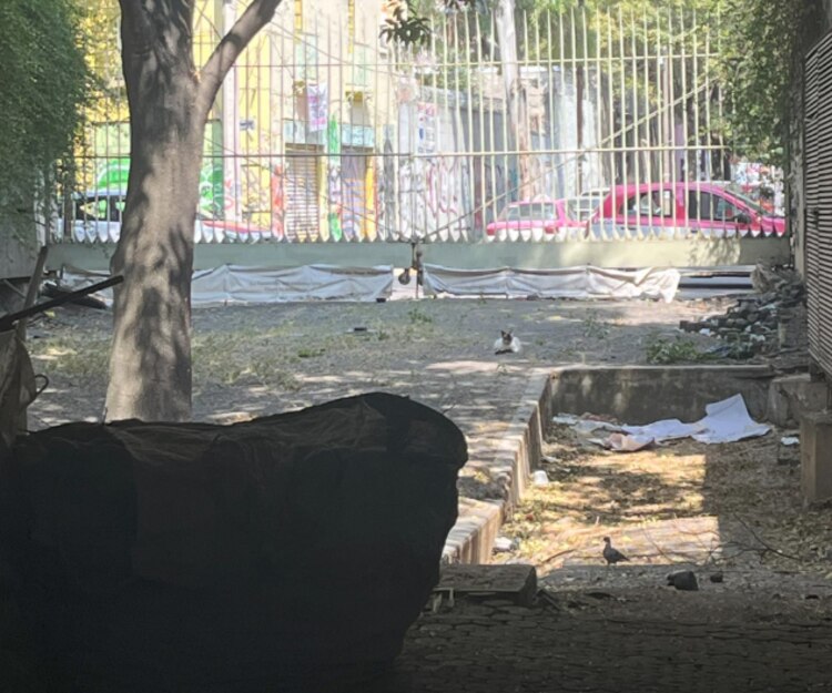 Un área verde se ha convertido en un espacio donde entran personas ajenas.