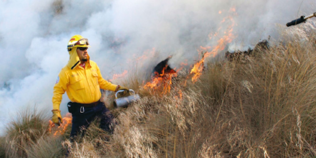 Incendios forestales en México